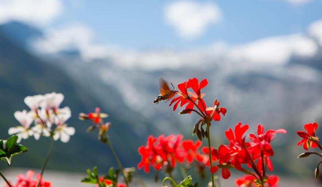 Artemis Easy Stay Self Check In-Out Saas-Fee Ruang foto