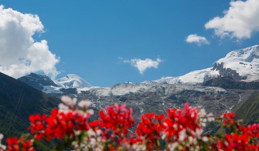 Artemis Easy Stay Self Check In-Out Saas-Fee Ruang foto